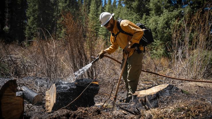 Boulder Creek Fire